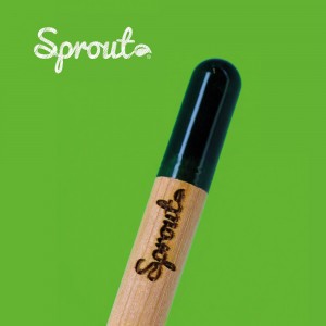 Crayon sprout