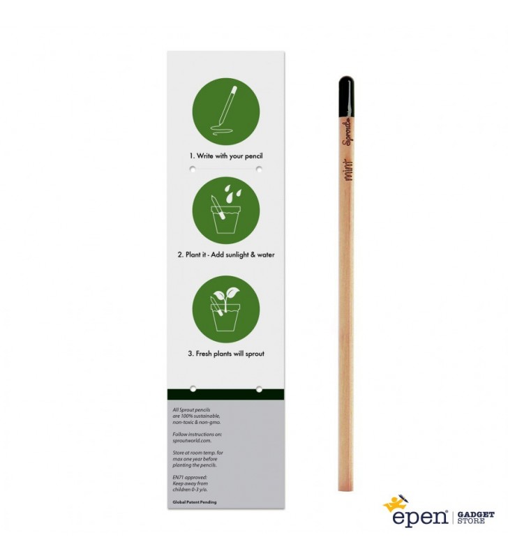 Sprout pencil