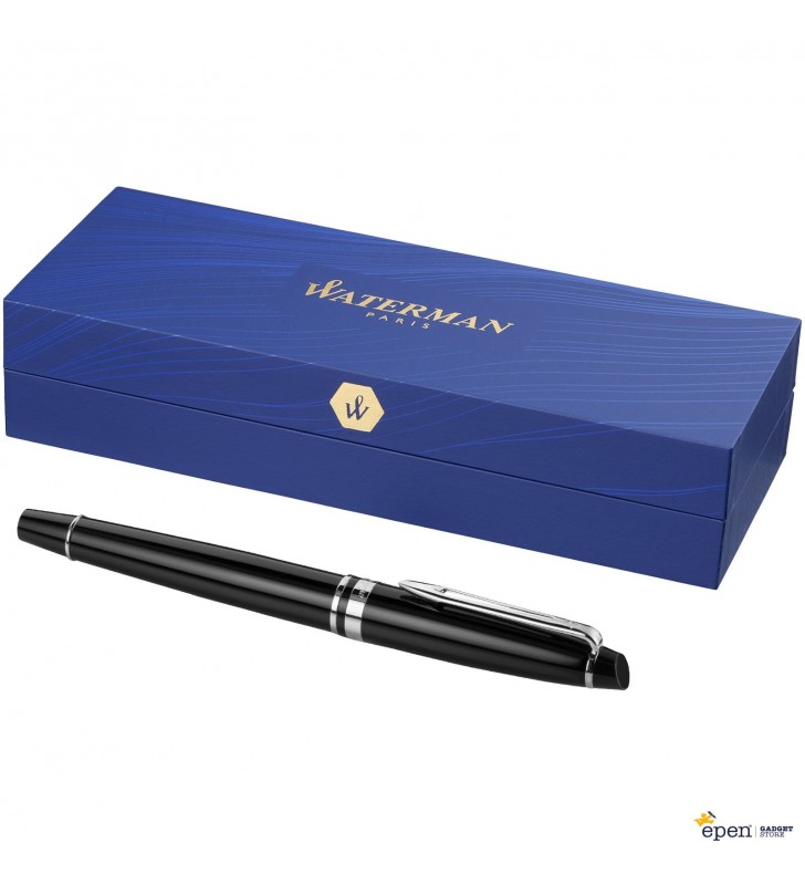 Waterman Expert fountain pen