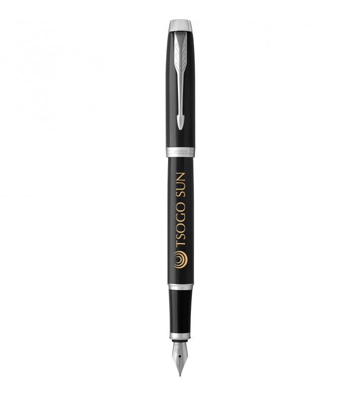 Parker pluma estilografica IM