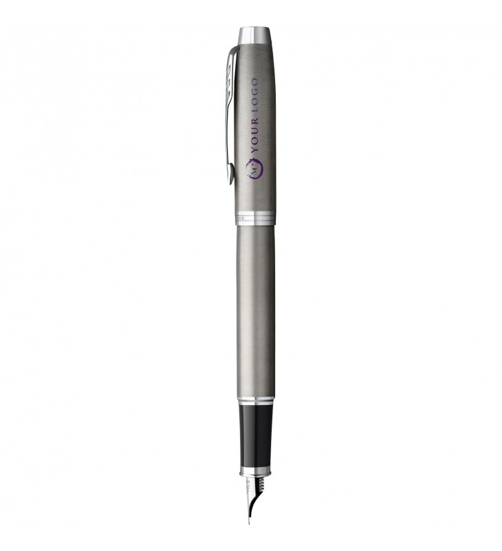 Stylo plume IM Parker