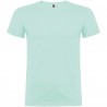 Beagle short sleeve mens t-shirt