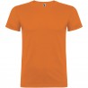 Beagle short sleeve mens t-shirt