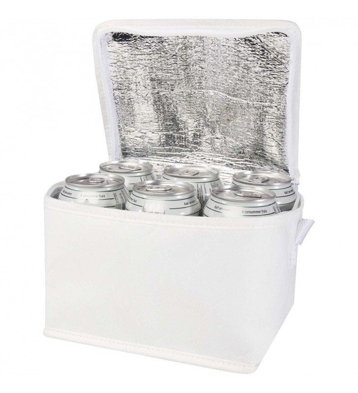 Spectrum 6-can recycled non-woven cooler bag 4L