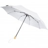 Birgit 21 foldable windproof recycled PET umbrella