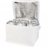 Spectrum 6-can recycled non-woven cooler bag 4L